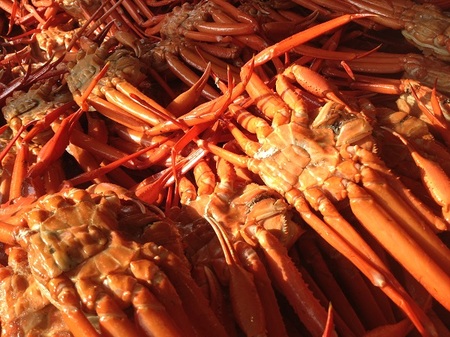 カニ食べ放題イメージ.jpg